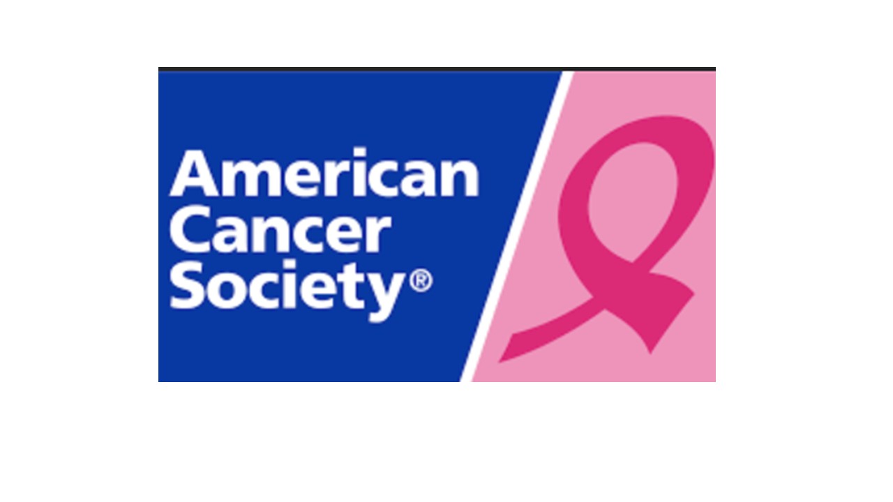 Breast Cancer Basics  (ACS)